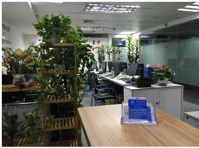 MISUXIN Builds Stability: Striving for Excellence and Further Growth