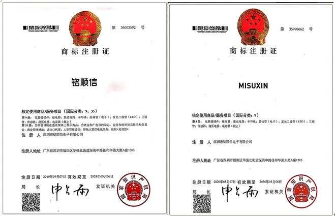 MISUXIN's Expansion: Innovating and Never Standing Still