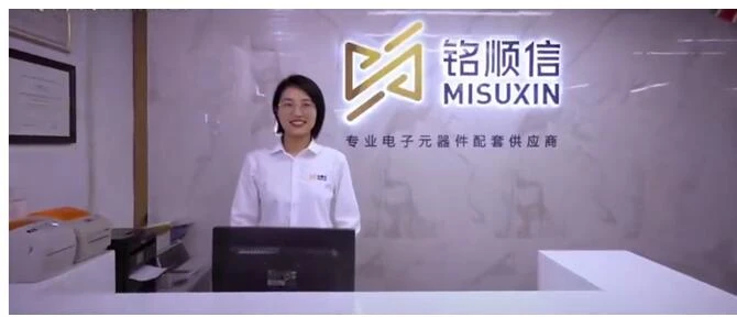 The History of MISUXIN