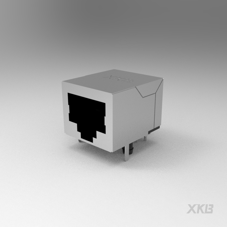 X13ABGWABDY1027 RJ45 Connector 10Pin